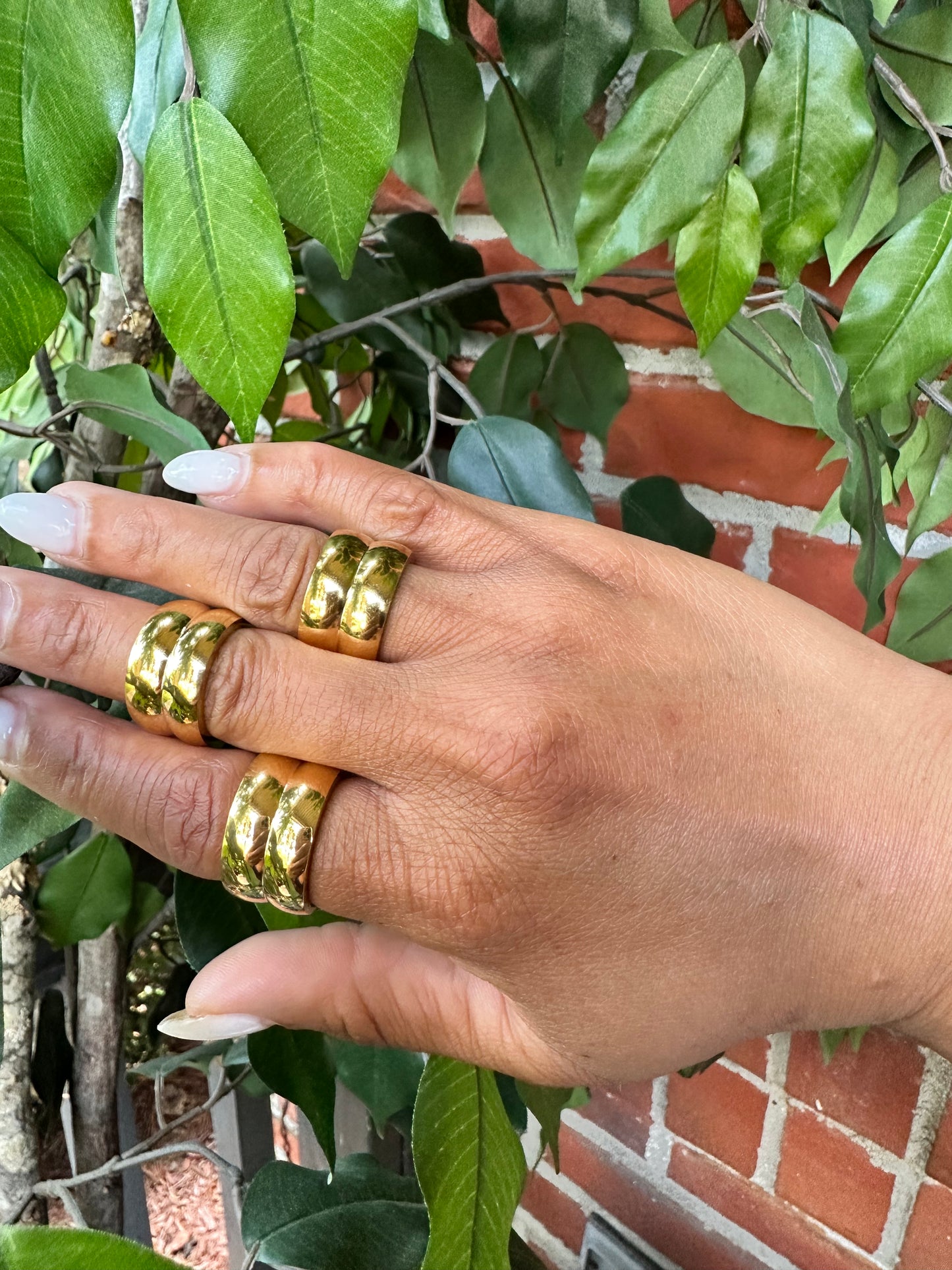 Dani Ring